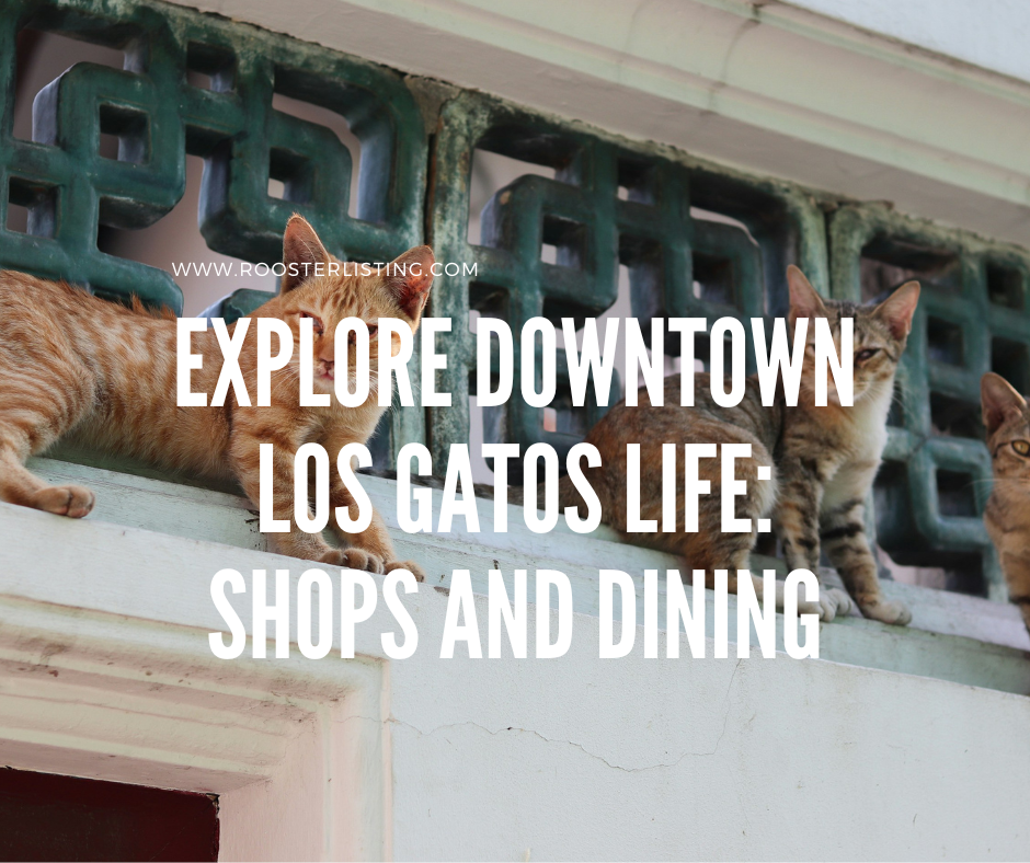 Explore Downtown Los Gatos Life: Shops and Dining