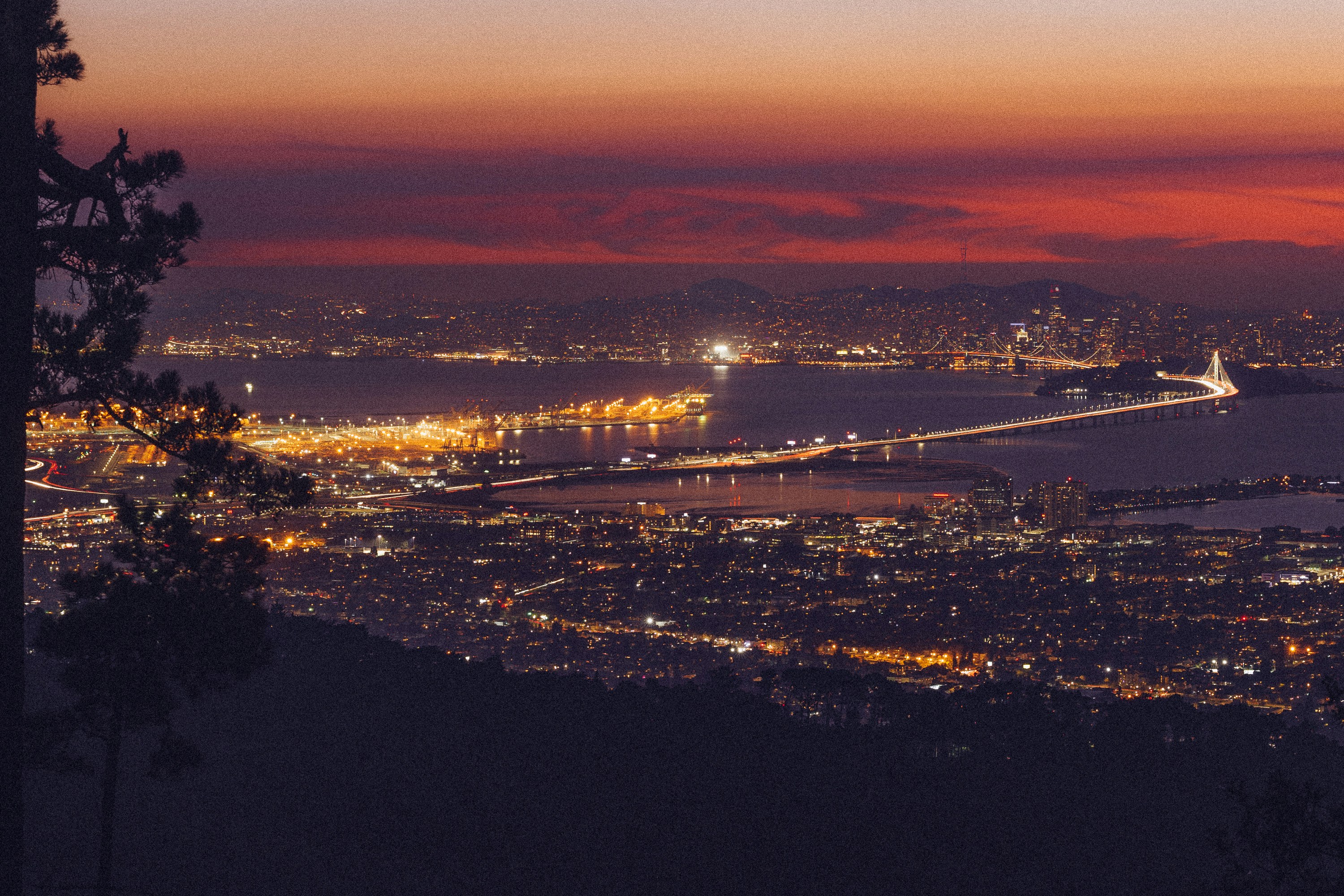 What Should You Know About San Francisco’s Housing Trends in 2025.