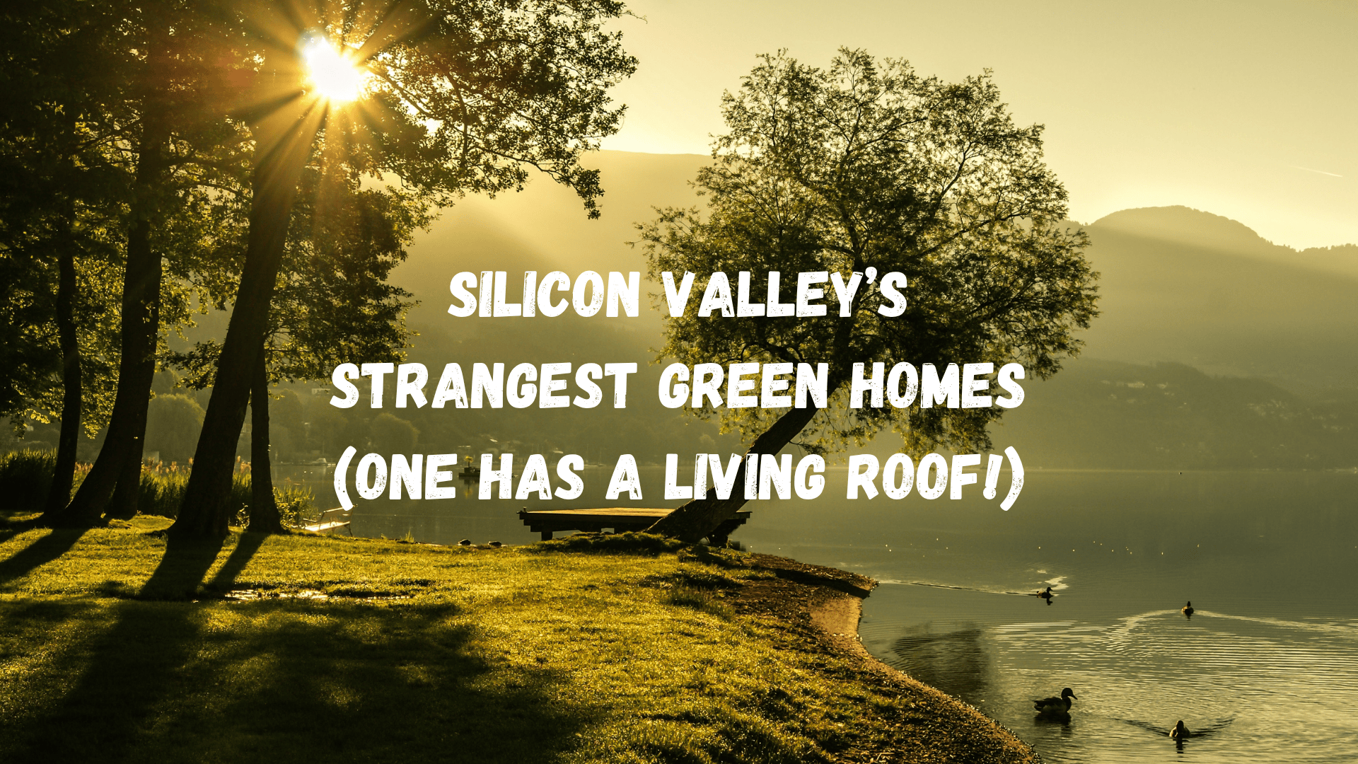 Silicon Valley’s Strangest Green Homes (One Has a Living Roof!)